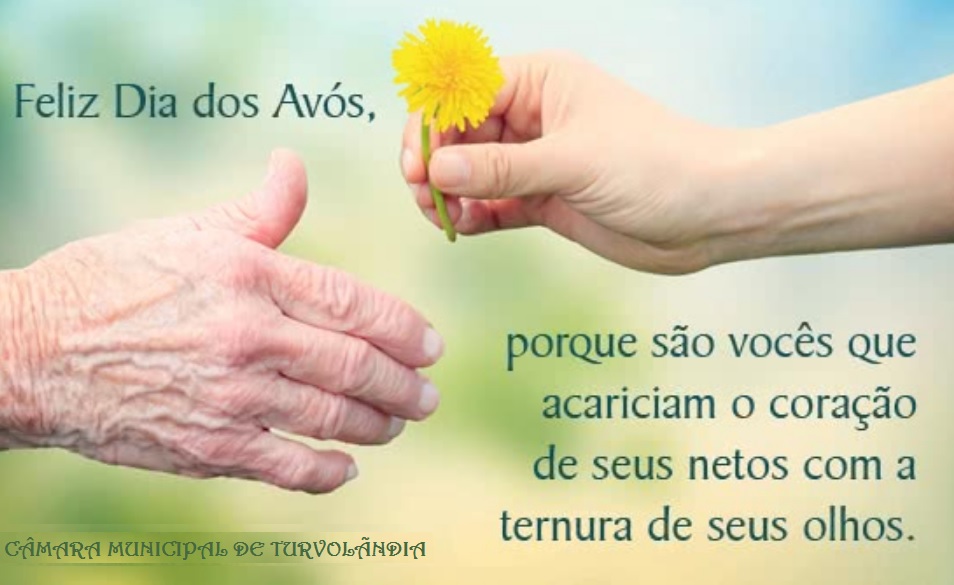 Imagem da notícia: DIA DOS AVÓS