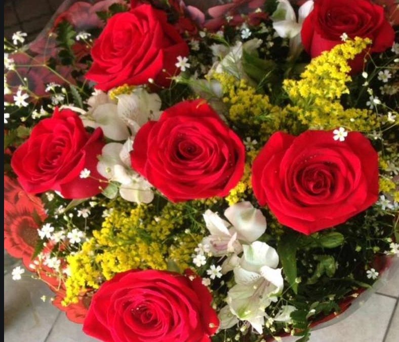 Imagem da notícia: DIA DAS MÃES